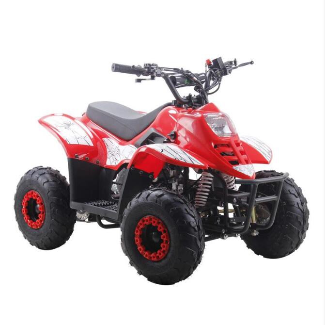 A Comprehensive Guide to Purchasing a 110cc Automatic ATV Quad for Kids