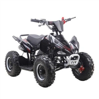 49cc Kids ATV Quad Bike