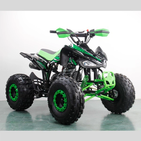 110cc Automatic ATV Quad Bike