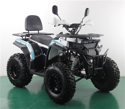 Uus automaatne 150cc 200cc 250cc ATV neljarattaline jalgratas